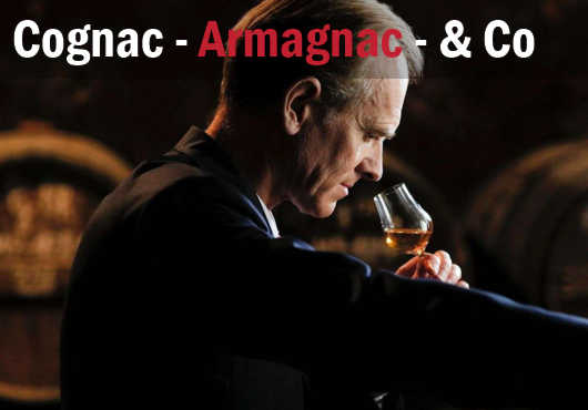 Cognac - Armagnac - Grappa...