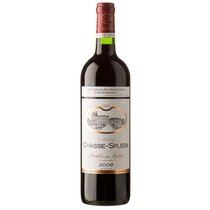 Château Chasse Spleen  bourgeois exceptionnel