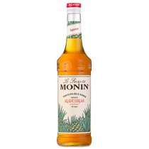 Monin Agave