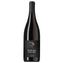 Zanolari Maienfelder Pinot Noir "Gnädig Herre Wy"