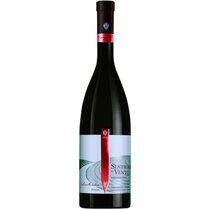 Duca di Salaparuta Vermentino