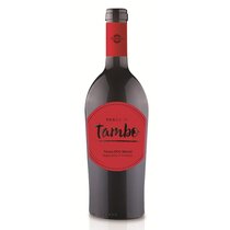 Merlot del Ticino Passo di Tambo Magnum
