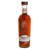 Rum Havana Club Tributo 2025
