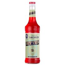 Monin Bitter Konzentrat