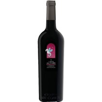 Cabernet Sauvignon Oltresogno