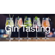 Gin-Event mit Apéro Riche 
Freitag,  27.März 2026
18:30 - 22:30 Uhr

